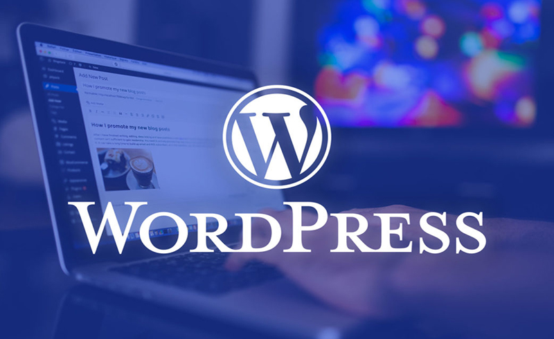 wordpress-nen-tang-dac-luc-thoi-dai-40